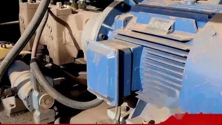 WS-315 Model Gantry Shear with 3150kn Max Cutting Force and 800mm Blade Length for Scrap Metal Processing